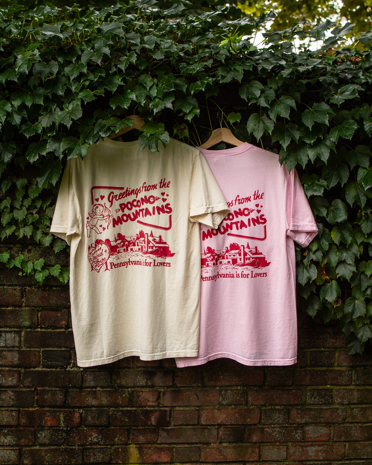 POCONOS POCKET TEE