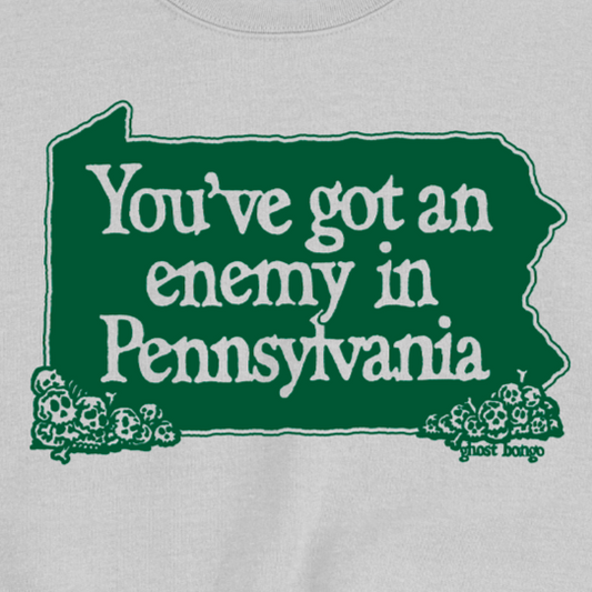 Gray sweatshirt with green graphic and text 'You've got an enemy in Pennsylvania'