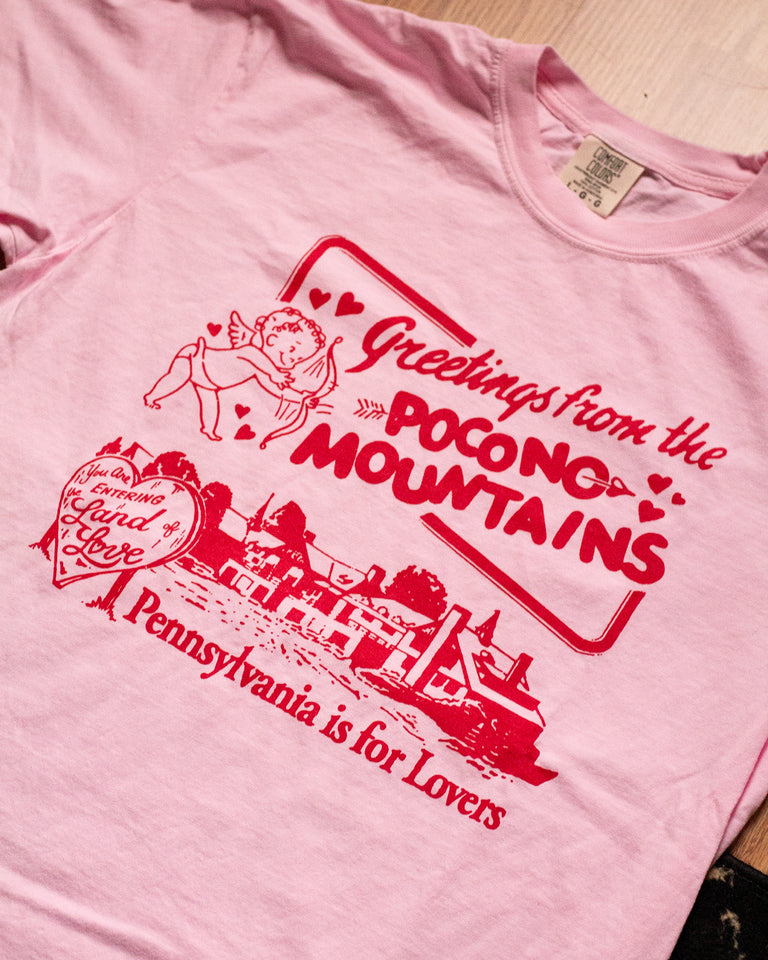 Pink t-shirt with red graphic and text 'Greetings from the Pocong Mountains, Pennsylvania is for Lovers' on a wooden surface.