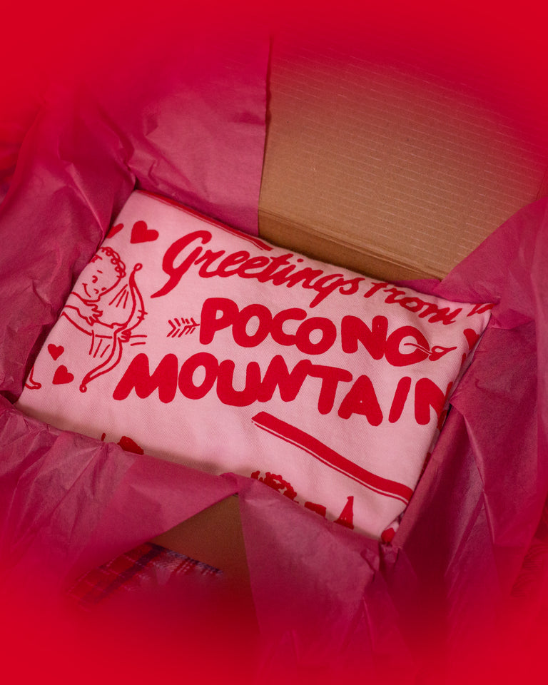 Tee with 'Greetings from Pocono Mountains' text and illustration in pink packaging.