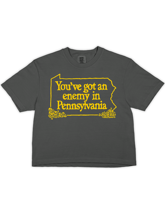 Gray t-shirt with yellow text "You've got an enemy in Pennsylvania" and graphic on a white background